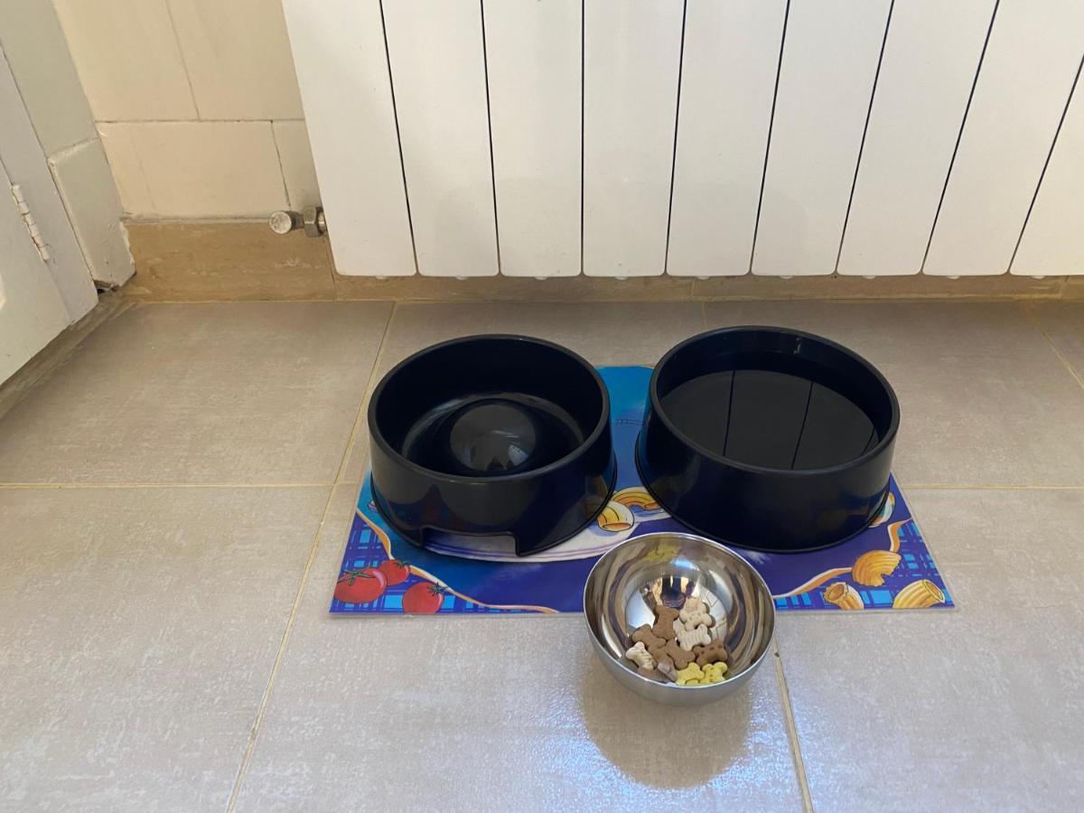 ブール・マダムChez Helene 3 Etoiles, Labellise Disabled Pmr,Pour 4 Personnes Chiens Bienvenus-Pet Friendlyアパートメント エクステリア 写真