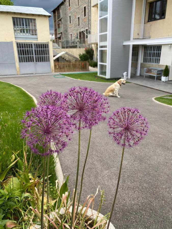 ブール・マダムChez Helene 3 Etoiles, Labellise Disabled Pmr,Pour 4 Personnes Chiens Bienvenus-Pet Friendlyアパートメント エクステリア 写真