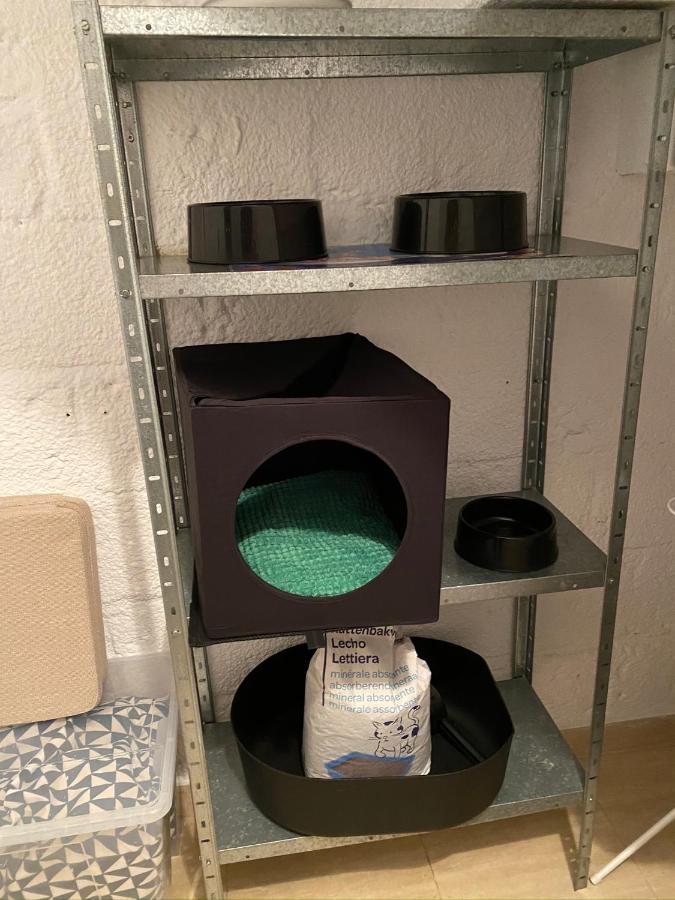 ブール・マダムChez Helene 3 Etoiles, Labellise Disabled Pmr,Pour 4 Personnes Chiens Bienvenus-Pet Friendlyアパートメント エクステリア 写真